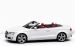 Audi 2010 A5 Cabriolet Widescreen Picture #14