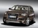 Audi 2010 Q7 Picture #4
