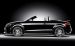Audi 2010 TT RS Roadster Widescreen Picture #19