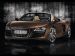 Audi 2011 R8 Spyder 5 2 FSI quattro Picture #57