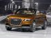 Audi Cross Cabriolet Quattro Picture #33