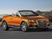 Audi Cross Cabriolet Quattro Picture #12