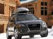 Audi Q5 2010 Picture #13