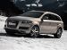 Audi Q7 2011 Picture #7