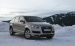 Audi Q7 2011 Widescreen Picture #27