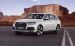 Audi Q7 2016 Widescreen Picture #36