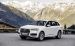 Audi Q7 2016 Widescreen Picture #62