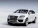 Audi Q7 V12 2010 PCi Picture #22