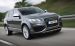 Audi Q7 V12 2010 PCi Widescreen Picture #10