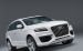 Audi Q7 V12 2010 PCi Widescreen Picture #0