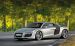 Audi R8 Widescreen Picture #211