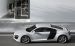 Audi R8 Widescreen Picture #38