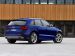 Audi SQ5 2014 Picture #7