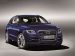 Audi SQ5 TDI 2013 Picture #5