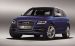 Audi SQ5 TDI 2013 Widescreen Picture #15