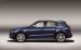 Audi SQ5 TDI 2013 Widescreen Picture #22