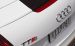 Audi TTS Pikes Peak Widescreen Picture #1