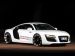 Audi xXx Performance R8 Biturbo 2014 Picture #14