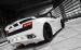 BF Performance Lamborghini GT600 Widescreen Picture #17