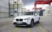 BMW 2010 X1 Widescreen Picture #26