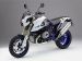 BMW HP2 MEGAMOTO Picture #2