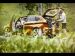 BMW Outdoor Concept 2013 Picture #42