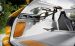 BMW Outdoor Concept 2013 Widescreen Picture #1