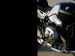 BMW R nineT 2014 Picture #59