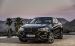 BMW X6 2015 Widescreen Picture #111