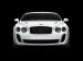 Bentley 2010 CONTINENTAL SUPERSPORTS Picture #21