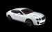 Bentley 2010 CONTINENTAL SUPERSPORTS Widescreen Picture #3