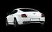 Bentley 2010 CONTINENTAL SUPERSPORTS Widescreen Picture #13