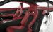 Bentley 2010 CONTINENTAL SUPERSPORTS Widescreen Picture #4