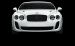 Bentley 2010 CONTINENTAL SUPERSPORTS Widescreen Picture #15