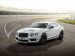 Bentley Continental GT3 R 2015 Picture #14