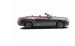 Bentley Continental GTC Speed Widescreen Picture #23