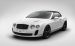 Bentley Continental Supersports 2011 Widescreen Picture #0