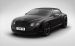 Bentley Continental Supersports 2011 Widescreen Picture #11