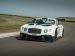 Bentley GT3 Race Car 2014 Picture #11