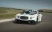 Bentley GT3 Race Car 2014 Widescreen Picture #28