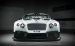 Bentley GT3 Race Car 2014 Widescreen Picture #22