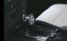 Brabus Exclusive Program for the Mercedes GLK Widescreen Picture #12