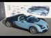 Bugatti Pierre Wimille 2013 Picture #39