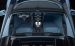 Bugatti Pierre Wimille 2013 Widescreen Picture #29
