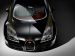 Bugatti Veyron Black Bess 2014 Picture #0