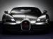 Bugatti Veyron Ettore 2014 Picture #5