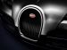 Bugatti Veyron Ettore 2014 Picture #19
