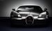 Bugatti Veyron Ettore 2014 Widescreen Picture #21