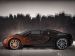 Bugatti Veyron Grand Sport Bernar Venet 2012 Picture #3