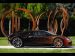 Bugatti Veyron Grand Sport Bernar Venet 2012 Picture #5